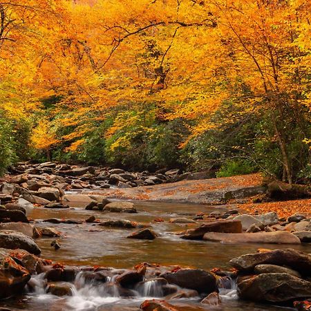 Peace, Serenity & Relaxation In The Smokies! Gatlinburg Εξωτερικό φωτογραφία