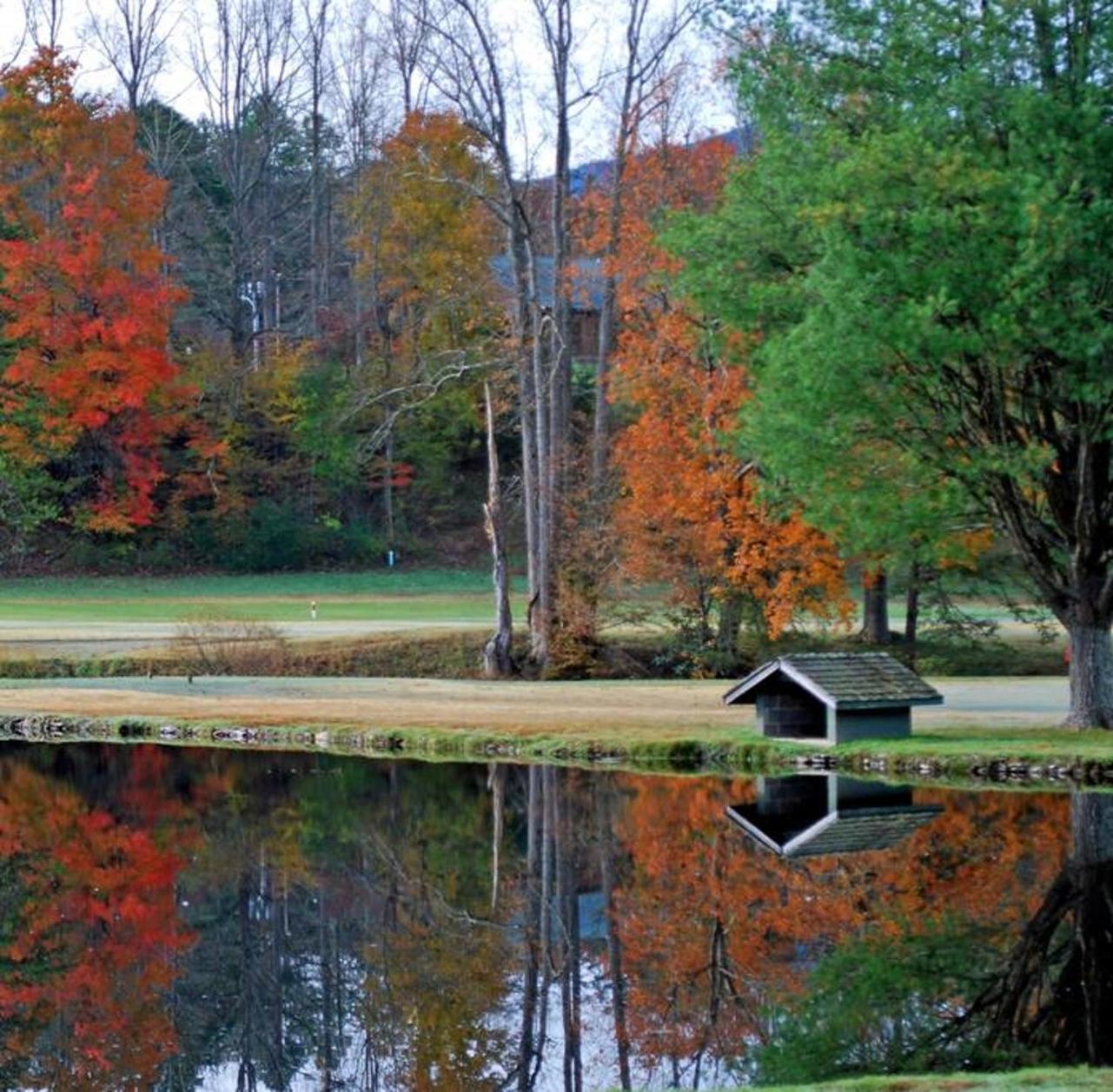 Peace, Serenity & Relaxation In The Smokies! Gatlinburg Εξωτερικό φωτογραφία