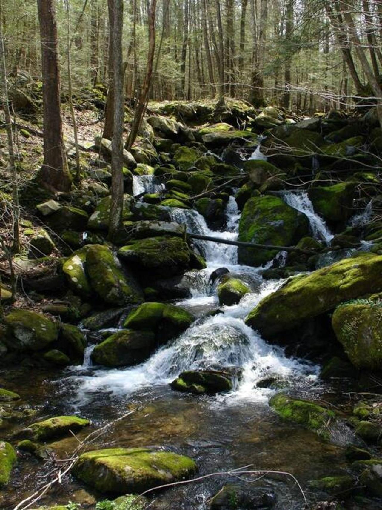 Peace, Serenity & Relaxation In The Smokies! Gatlinburg Εξωτερικό φωτογραφία