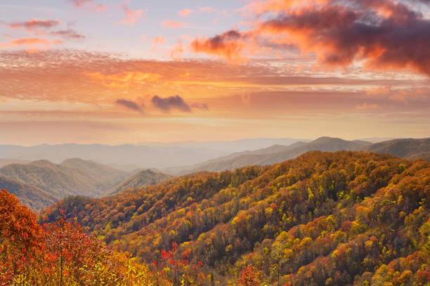 Peace, Serenity & Relaxation In The Smokies! Gatlinburg Εξωτερικό φωτογραφία