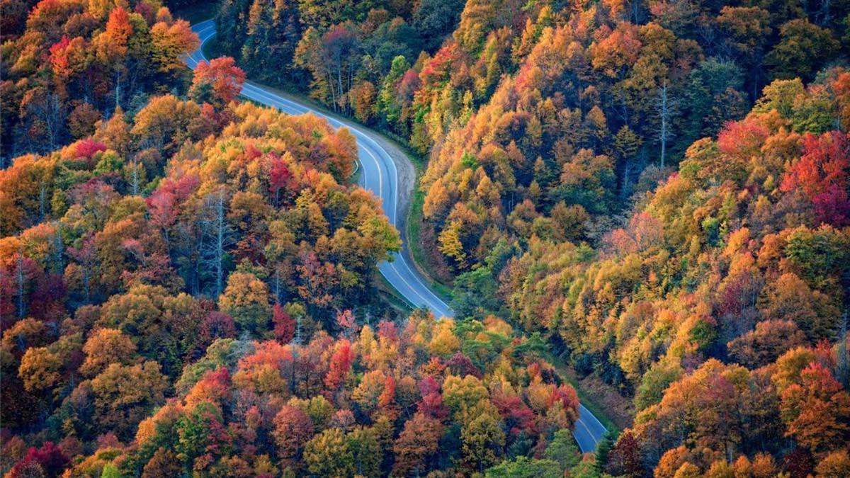 Peace, Serenity & Relaxation In The Smokies! Gatlinburg Εξωτερικό φωτογραφία
