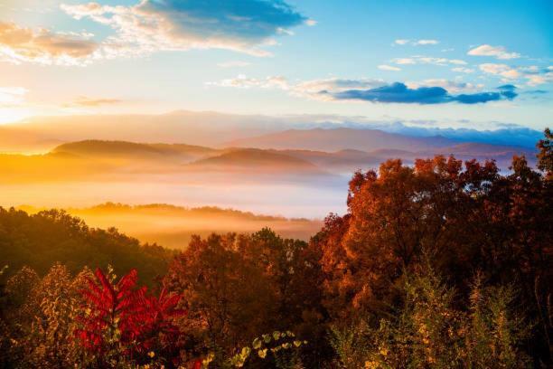 Peace, Serenity & Relaxation In The Smokies! Gatlinburg Εξωτερικό φωτογραφία