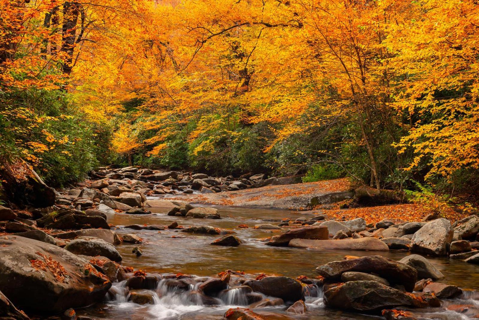 Peace, Serenity & Relaxation In The Smokies! Gatlinburg Εξωτερικό φωτογραφία